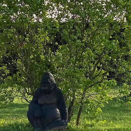 La Maison Du Caillou Feriehus